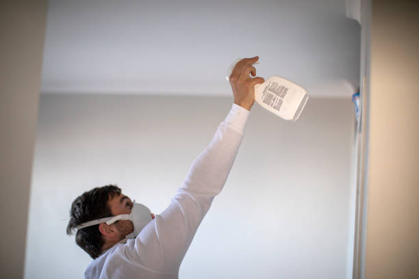 Professional Mold Remediation in Menomonie, WI